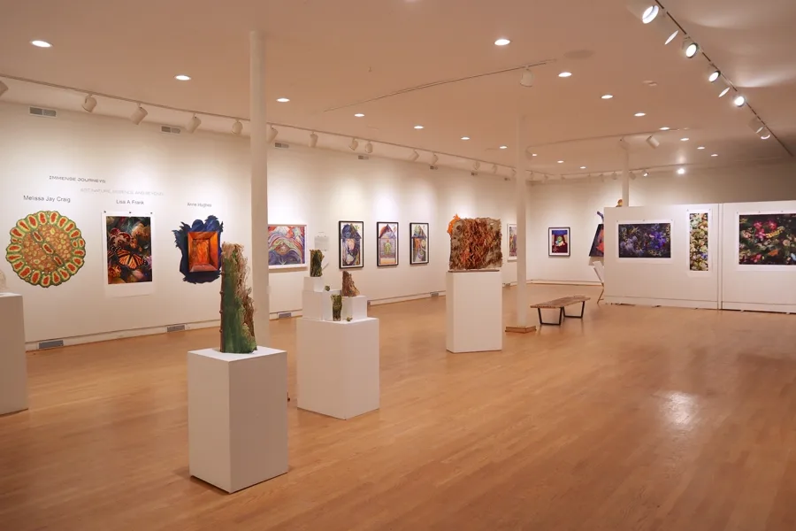 Installation view of Immense Journeys, featuring sculptural paper and mixed media works inspired by nature
