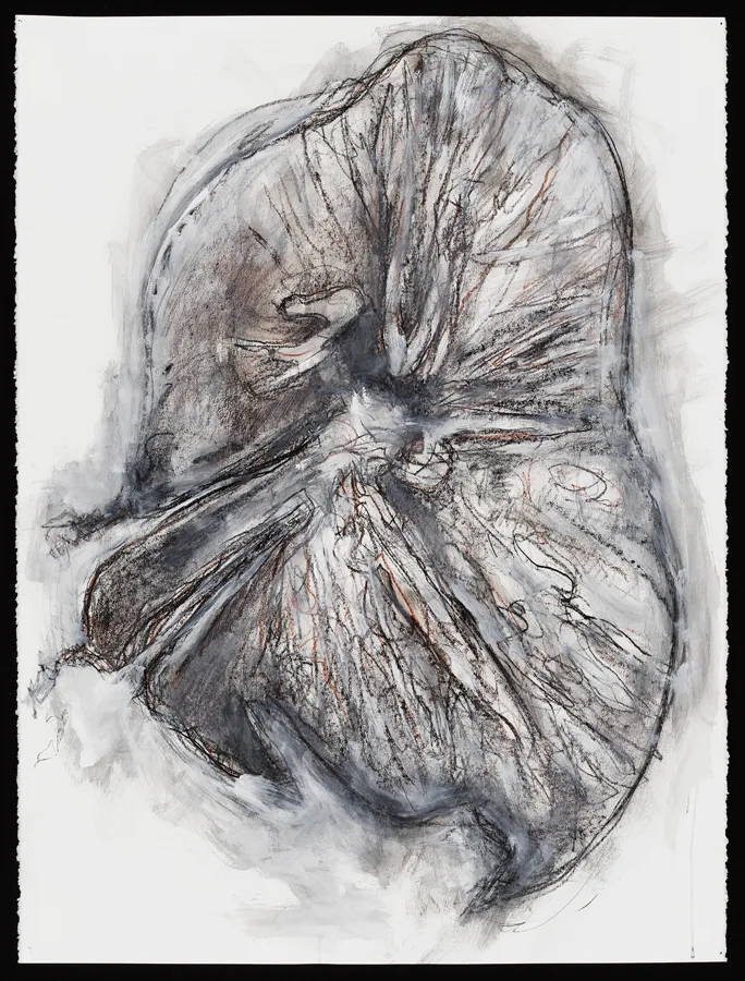 Conte and flashe drawing from the exhibition Raw Reckoning