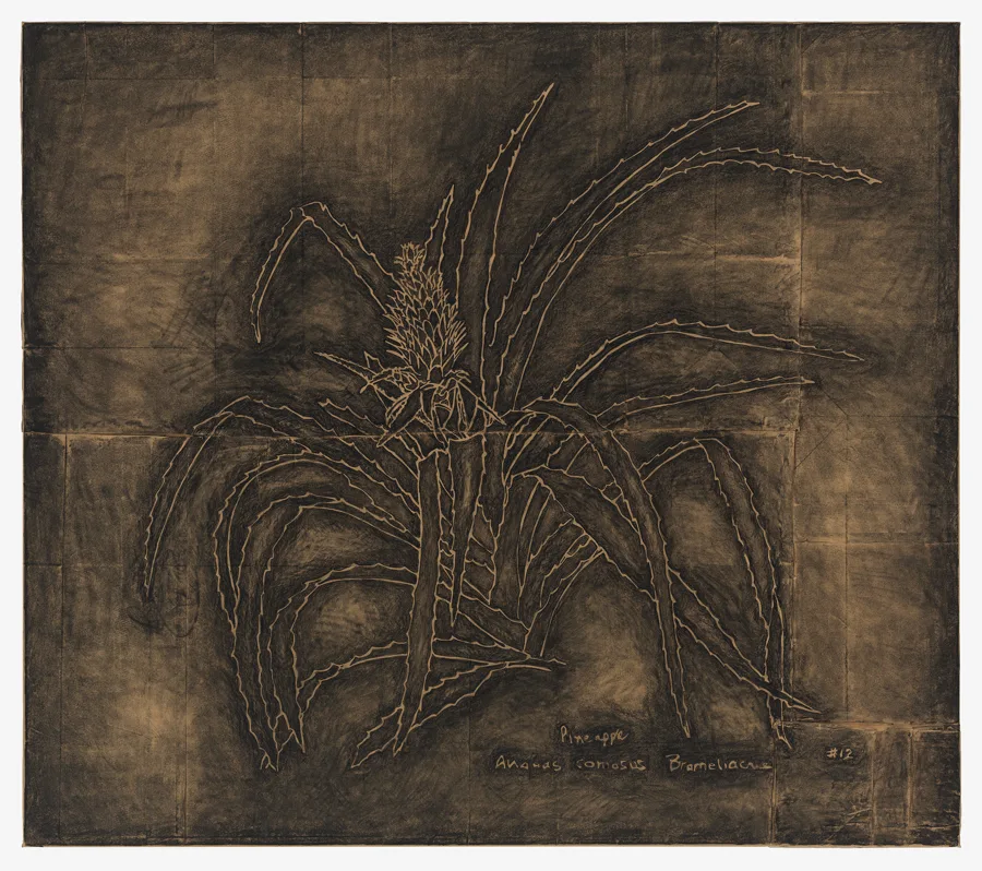 Artwork from the exhibition Ruminate