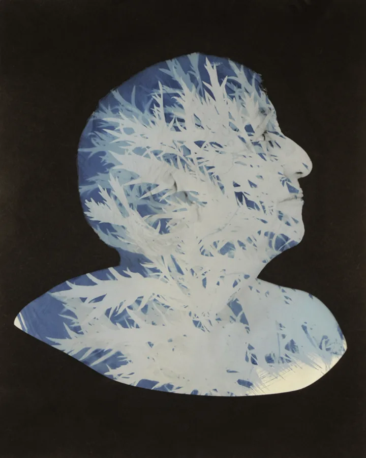 Artwork from Stella: The Nature of a Collective