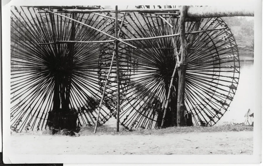 Photography from the exhibition Through the Lens: Unbending Life